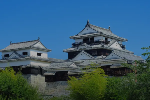 FAV LUX 松山一番町